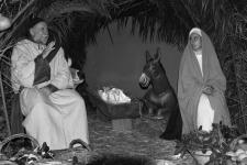 100_0293 copia