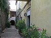 CIMG4116.JPG