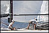 IMG_5645.JPG