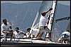 IMG_5676.JPG