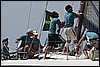 IMG_5803.JPG