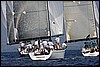 IMG_5933.JPG