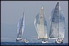 IMG_6007.JPG