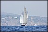 IMG_6035.JPG