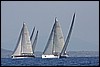 IMG_6100.JPG