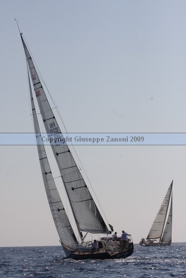 IMG_6419.JPG