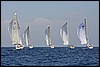 IMG_6288.JPG