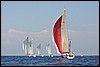 IMG_6333.JPG
