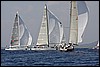 IMG_6361.JPG