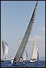 IMG_6382.JPG