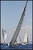 IMG_6383.JPG