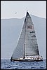 IMG_6431.JPG
