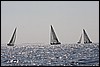 IMG_6443.JPG