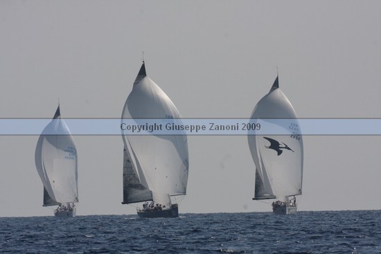 IMG_6472.JPG