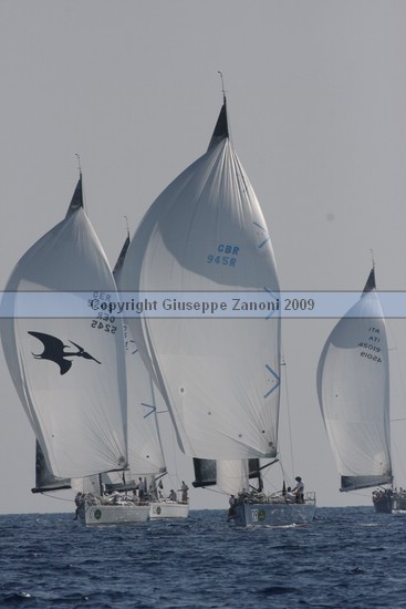 IMG_6478.JPG
