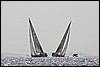 IMG_6446.JPG
