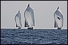IMG_6460.JPG