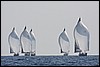 IMG_6464.JPG