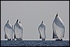 IMG_6469.JPG