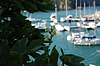 DSC_0265.JPG