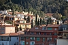 DSC_0305.JPG