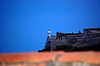 DSC_0315.JPG