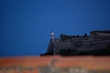 DSC_0317.JPG