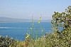 DSC_0105.JPG