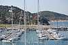 DSC_0113.JPG
