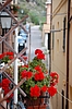 DSC_0045.JPG