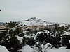 SC03.jpg
