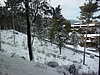SC06.jpg