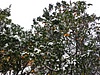 SC08.jpg