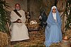 IMG_9949.JPG