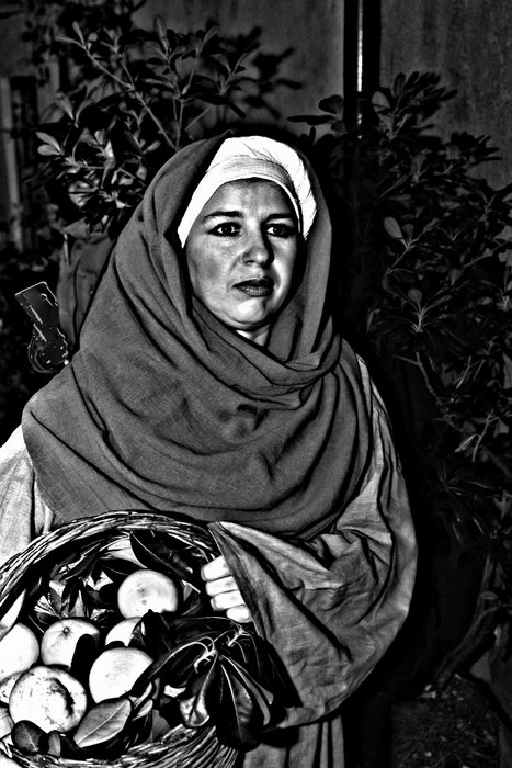 100_0247 copia.jpg