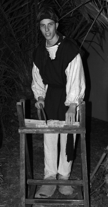 100_0291 copia.jpg