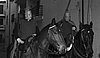 100_0211 copia.jpg