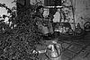 100_0219 copia.jpg