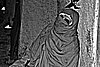 100_0220 copia.jpg
