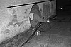 100_0222 copia.jpg