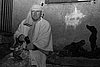 100_0271 copia.jpg