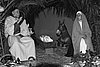 100_0293 copia.jpg