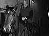 100_0316 copia.jpg