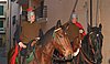 100_0211.JPG