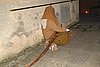 100_0222.JPG