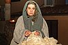 100_0260.JPG
