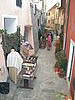 DSCN3679.JPG
