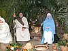 DSCN3705.JPG