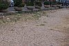 100_1701.JPG