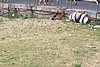100_1706.JPG